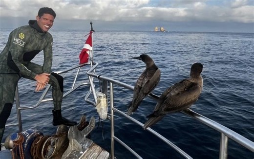 La Jolla ‘Shark Doc’ is a king of the seas in Netflix competition show