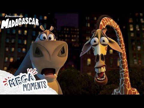 All of Gloria's Glamorous Moments!! 🦛✨😲 | Madagascar | Compilation | Mega Moments