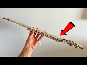 Gemeinhardt Flute 2SP - Long Time User Review!