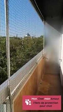 Filet de protection renforcé pour chat pour balcon Paris 🐾🐱