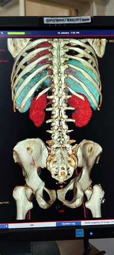 VENUS PHAGE VR IMAGES