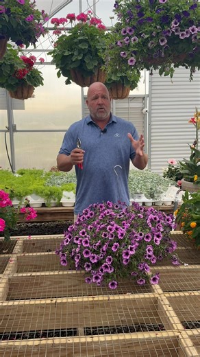 How do you water your Hanging Baskets and Containers? How do you keep them looking great and blooming all season? Hopefully this video will help your hanging baskets and containers looking great all season long! We are located in Cullman, Alabama along I-65 only two miles off of Exit 304 (Good Hope Exit) at 5847 county road 616. Open: Mon.-Sat. 7:30-5:00 #GGC #cullmanalabama #gotitatgibbs #gardencenter #i65 #hangingbaskets #wateringplants #watering #flowers #plants #spring2025 | Gibbs Garden Cen