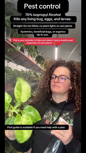 Effective Pest Control for Your Plants