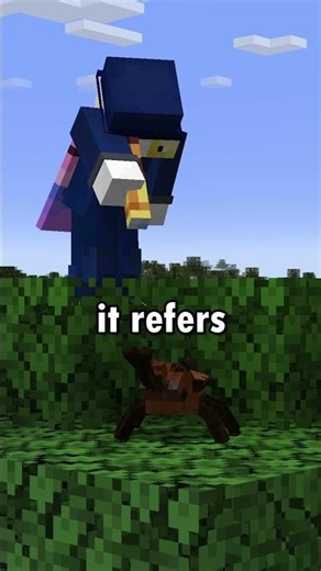 Everyone is WRONG about Elytra😱