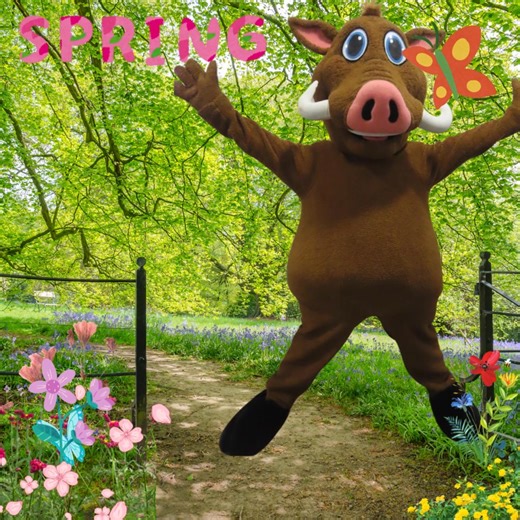 1.8K views · 23 reactions | SPRING DAY On Monday, 1 September 2025, we’ll be celebrating the joy of Spring Day and Arbour Day! Learners are invited to brighten up their school uniforms with a cheerful flower as we welcome the new season in full bloom. #SpringIsHere #VatVoor #TakeTheLead | Laerskool Eversdal Primary | Facebook