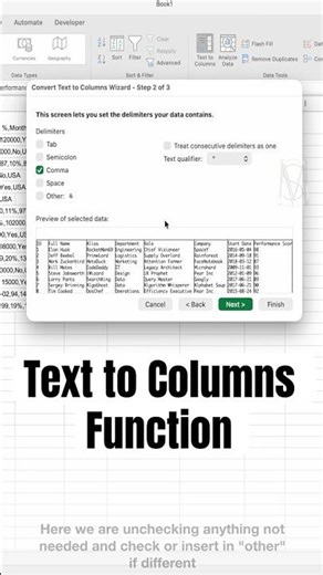 Split Text in Excel Using Text to Columns
