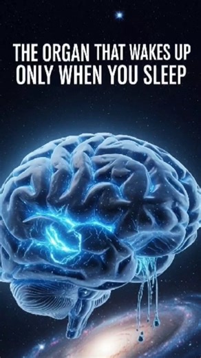 The Organ Awakens While You Sleep | Mind-Blowing Short Story. #shorts #facts #knowledge
