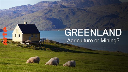 ARTE Reportage - Greenland: Agriculture or Mining? - Watch the full documentary in English
