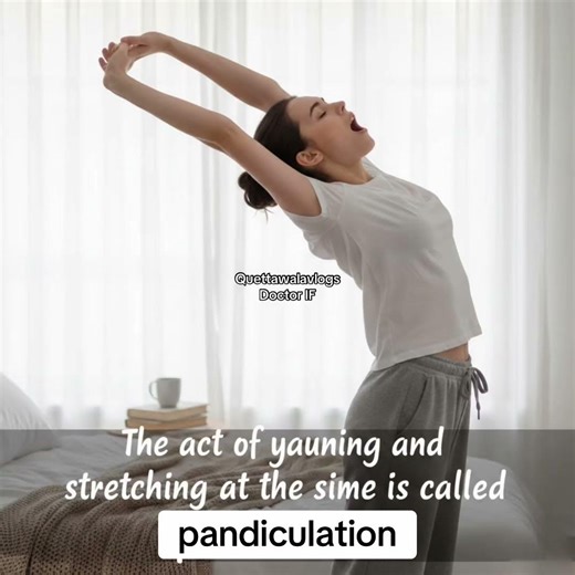 The act of yawning and stretching at the same time is called pandiculation #interestingfacts #fun