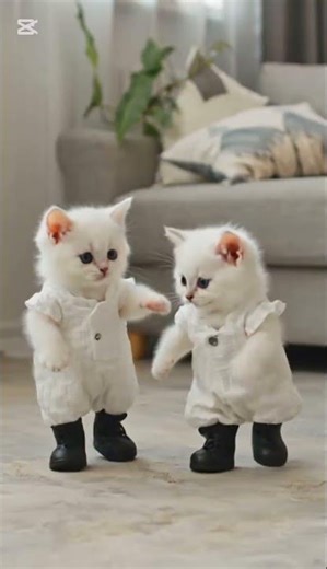 Family Life of Anthropomorphic Cats: Office, Play & Dinner! 🐱❤️🏢🍽️" #cat #shortsviral #animation