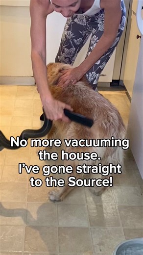 This vacuum hack is genius #pethairremoval #pethair #vaccumcleaner #vaccumhack #hacks | Sara L