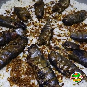 Tuna Fish Mandi - Arabian Style Fish Mandi For Poor People - Nawabs Kitchen #nawabskitchen #tunafishmandi #Arabianstylefishmandi #seafood | Nawab's Kitchen