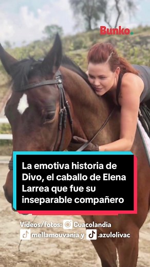 La emotiva historia de Divo, el caballo de Elena Larrea