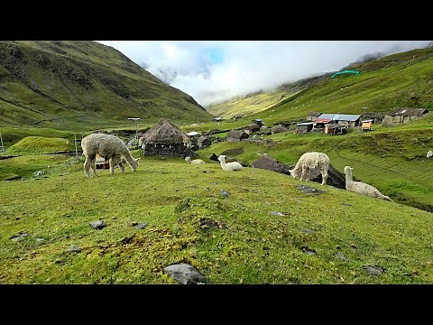 Life in a Peruvian Village | Cooking, Kids & Alpaca Wool