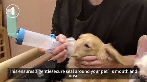 Pet Inhaler Spacer with 2-Sized Masks for Cats and Dogs, Aerosol Chamber with Breathing Flow Indicator, Compatible with Any MDI