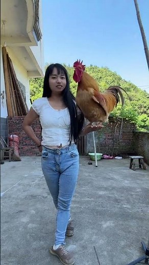 A rooster that can understand human speech