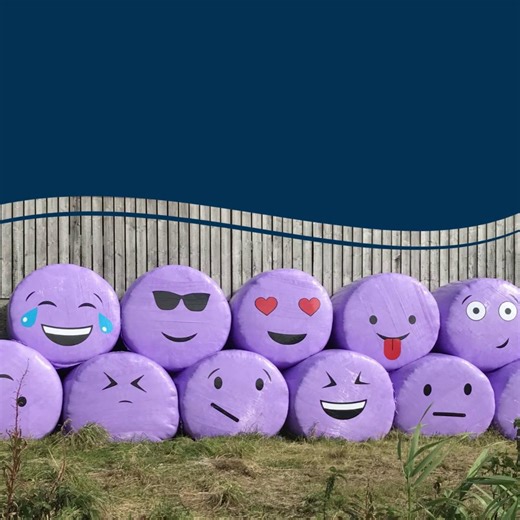 🔥Silage Wrap Early Order Discount is currently available! Whatever your baling system and priorities are, there’s a Zeus wrap made to excel with them. 🔹 Super 7 – Proven performance at the lowest cost per roll 🔹 Epicrop – High‑strength wrap, great for square bales 🔹 Z‑Wrap – Dependable cling and durability 🔹 EnviroPlus – Extra length per roll for better value and convenience ( 6 extra bales per roll) 🔹 Epicrop Purple – Support the WellChild charity! Order now and save with Carr’s Billingto