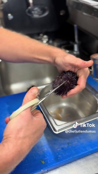 Oursins et dessert à la châtaigne : une expérience culinaire