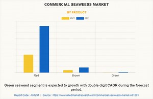 Commercial Seaweeds Market Size, Demand, Current Trends and Outlook, 2022–2031