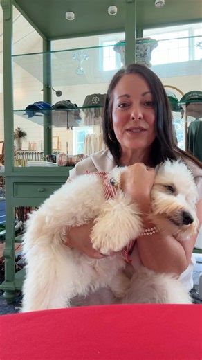 Smeraglia's Teddy Bear Goldendoodles & Schnoodles on Reels