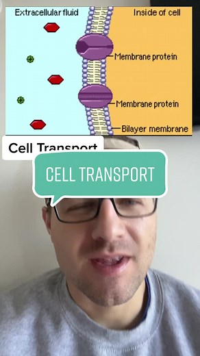 Understanding Cell Transport: Membrane Proteins and Cellular Regulation