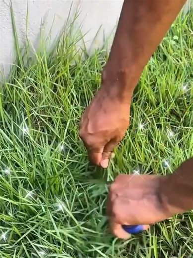 Cómo hacer un cortacésped casero