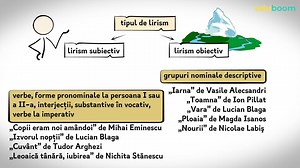 Textul liric. Limba și literatura română clasa a 10-a