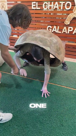 60kg Shell Challenge Gone Wrong 😬 #shorts #challenge