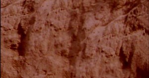 Virginia 'Viking archeologists' seek answers to ‘mystery of history’ of found pottery