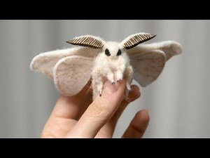 12 of The Most Interesting Insects That Make Great Pets