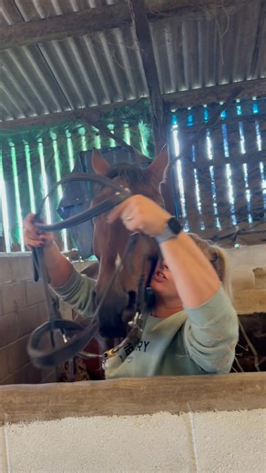 Kate Archer , I don’t think Ray wants to go riding with you … I just get that vibe🤣🤣🤣 | Kylie Munro