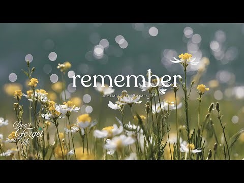 Remember This Moment 🌼 Relaxing Guitar Music with Ambient Vibes for Inner Peace, Study & Sleep