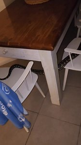 90K views · 1.5K reactions | Not What you Expect to Find On Your...