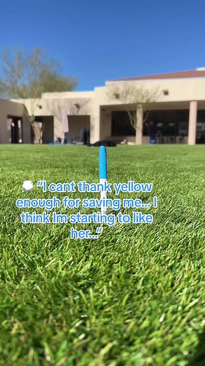 FINAL EPISODE OF SEASON 1!!!🤩Thank you to all our loyal fans who have stuck with us. Get ready for a season 2… 🤫🤓😜😎🥸 #marker #storytime #story #love #fyp #drama #foryourpage #crazystory #yellow #pink #green