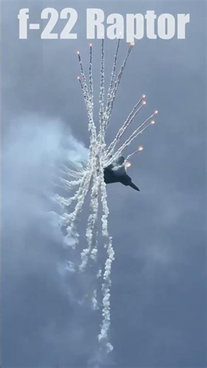 F-22 vs F-35: What’s the Real Difference? 🇺🇸✈️