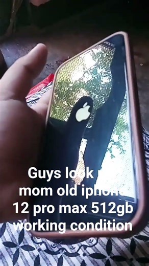 my mom old iphone 12 pro max 512gb