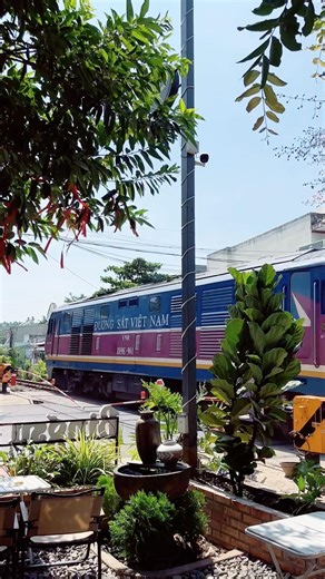 TRAIN SE6 #duongsatvietnam #tauhoa #train