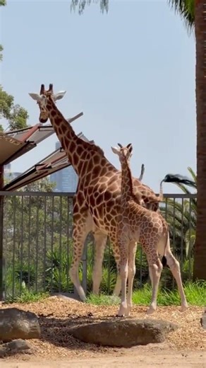 Is Biodiversity Loss Really That Serious? (Yes. Here's Why.)