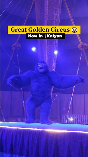 OMG! Great Golden Circus at Khadakpada Kalyan | Aeronautic Shows, Ring, Gorilla