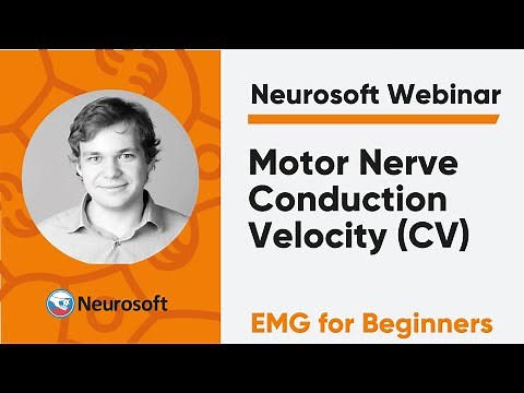 Motor Nerve Conduction Velocity (CV) | Neurosoft Webinar «EMG for Beginners»