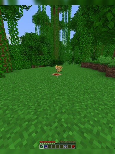 Minecraft Cat Chase! #minecraft | minecraft