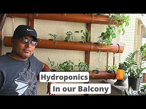 Hydroponics in apartment balcony | Vertical Gardening at home using PVC pipe| NFT system
