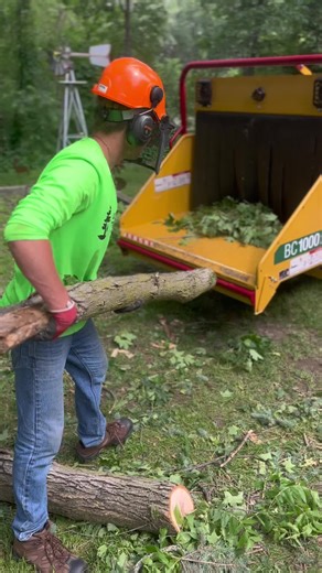 #nature #trees #treework #treeservice #chipper #treelife