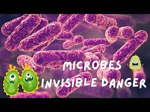 What is Microbiology? Discover the Science of Tiny Life! (4 Minutes)