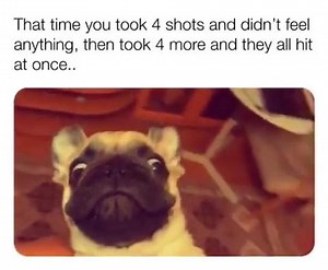 263K views · 1.8K reactions | Wowwwww | Pretty Doll Palace | Facebook