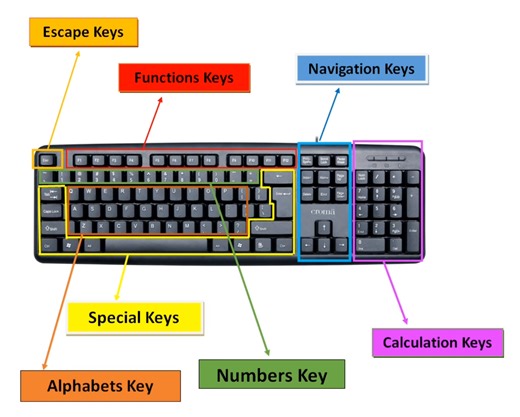 Keyboard parts and its names #computertips #foryou #tiktok #keyboard #keyboardfeatures #learncomputer | Computer Tips