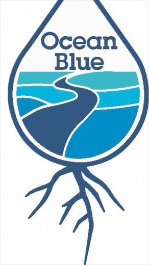 Transforming Our Shores: Ocean Blue Beach Cleanup Tour 2025 | Ocean Blue Project