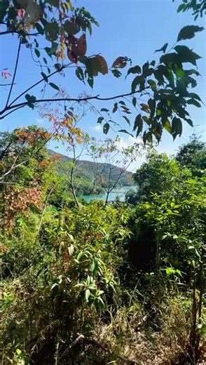 #awimbawe #adventure #tiktokreels