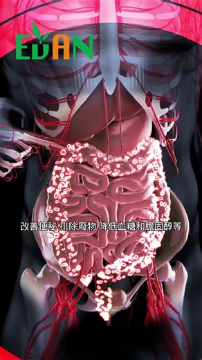 Legumes are a nutritious, low-calorie food, suitable for those who want to lose weight and mainta...