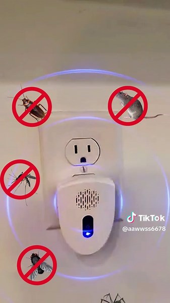 Effective Mouse Deterrent Solutions for Indoors and Outdoors